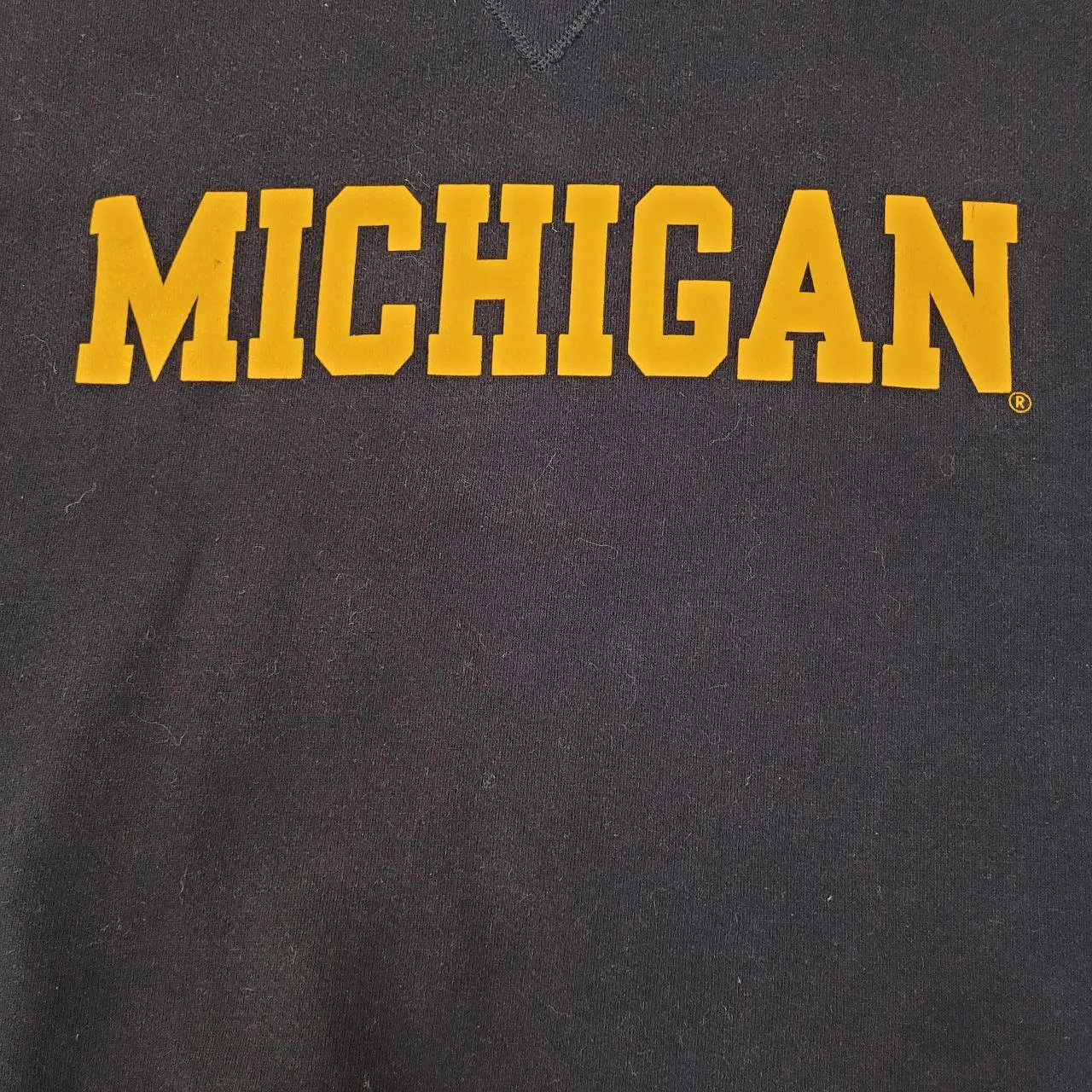 VINTAGE RUSSELL ATHLETIC MICHIGAN SWEATSHIRT